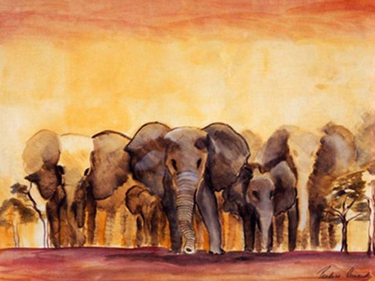 el_paso_de_los_elefantes