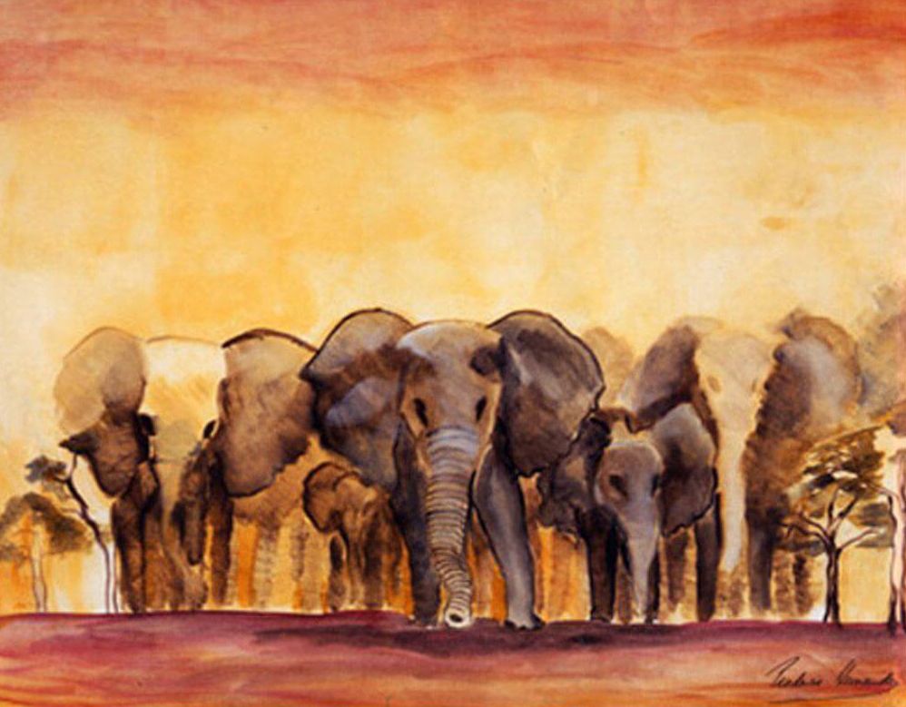 El paso de los Elefantes